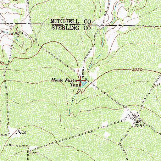 Topographic Map of Horse Pasture Tank, TX