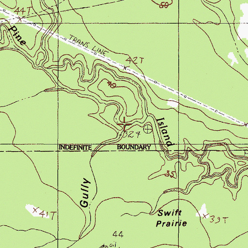 Topographic Map of Horsepen Gully, TX