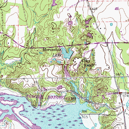 Topographic Map of Horseshoe Lake, TX
