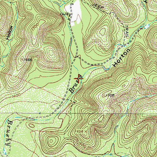 Topographic Map of Horton Hollow, TX