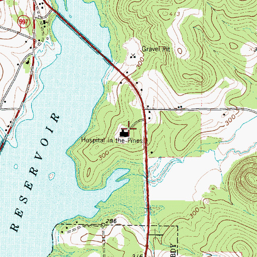 Topographic Map of Hospital in the Pines, TX