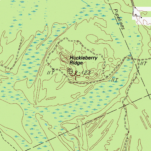 Topographic Map of Huckleberry Ridge, TX