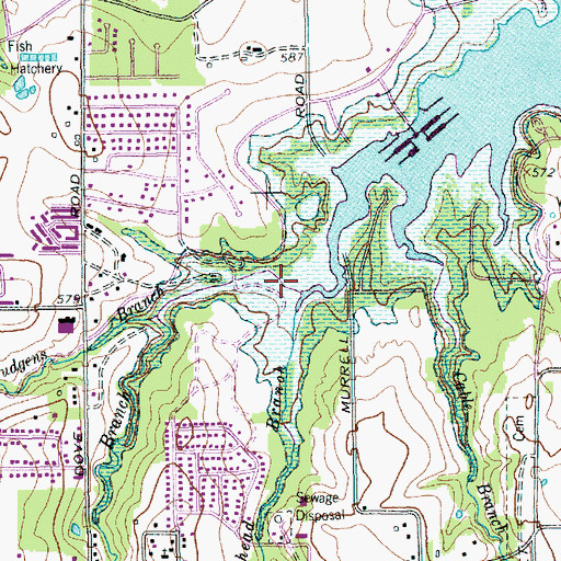 Topographic Map of Hudgens Branch, TX
