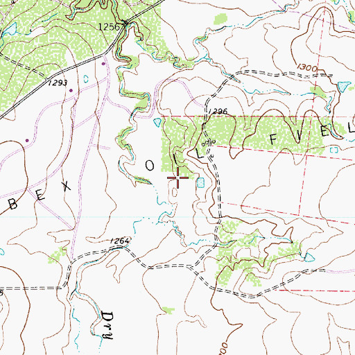 Topographic Map of Ibex Oil Field, TX