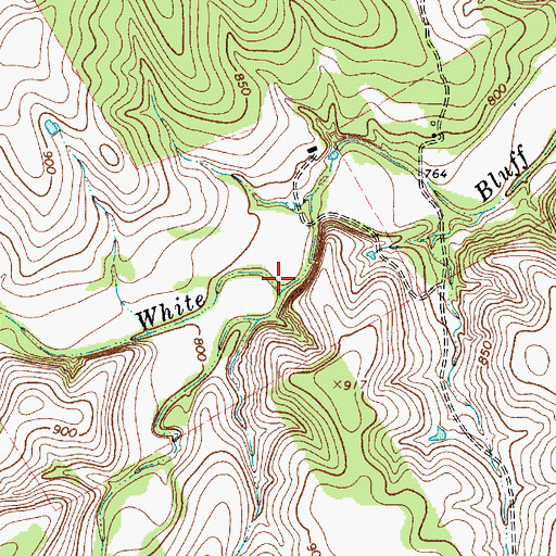 Topographic Map of Ice Branch, TX