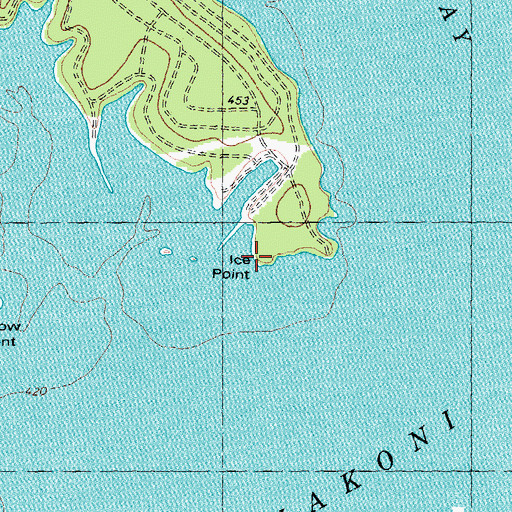 Topographic Map of Ice Point, TX
