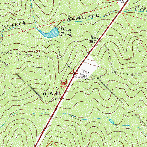Topographic Map of Iley Ranch, TX