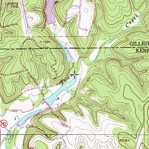 Topographic Map of Indian Branch, TX