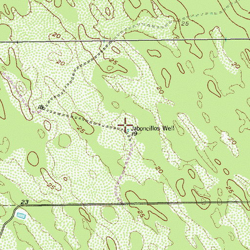 Topographic Map of Jaboncillos Well, TX