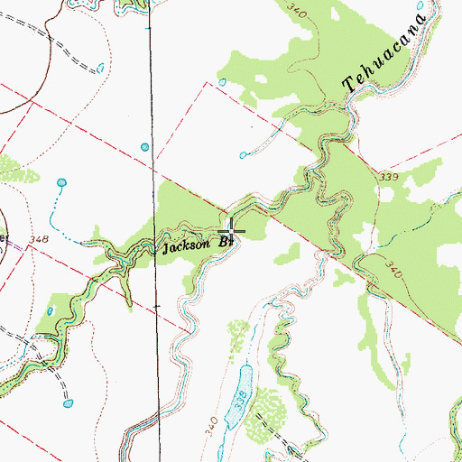 Topographic Map of Jackson Branch, TX