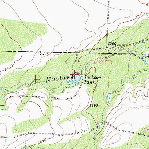 Topographic Map of Jackson Tank, TX