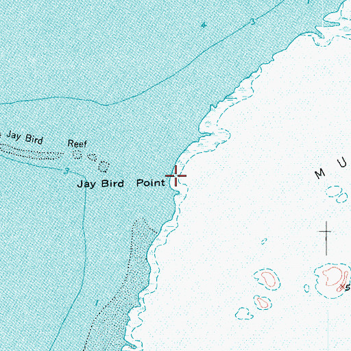 Topographic Map of Jay Bird Point, TX