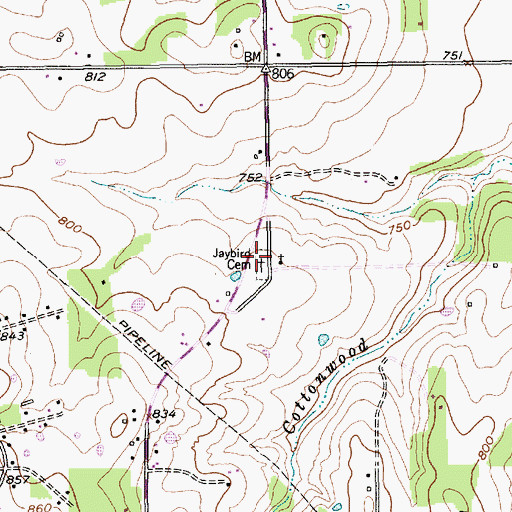 Topographic Map of Jaybird Cemetery, TX