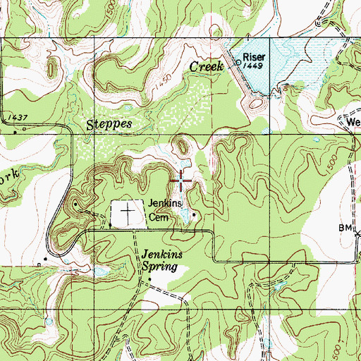 Topographic Map of Jenkings Spring, TX