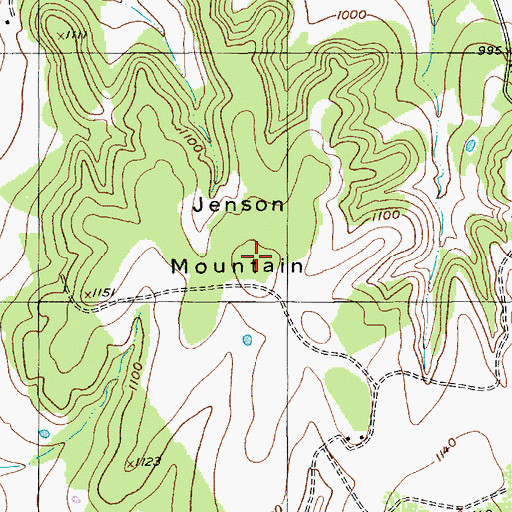 Topographic Map of Jenson Mountain, TX