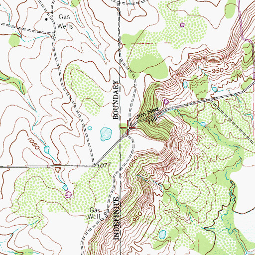 Topographic Map of Jim Ned Hill, TX