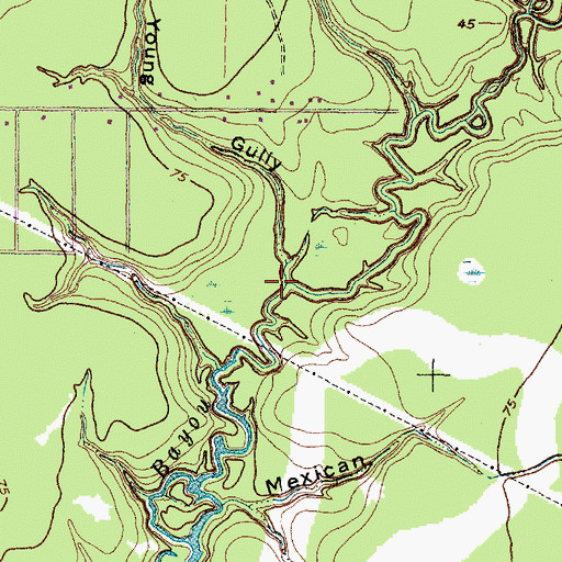 Topographic Map of John Young Gully, TX