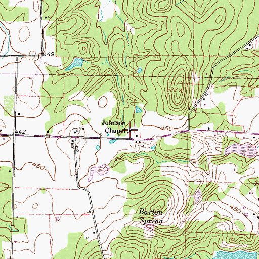 Topographic Map of Johnson Chapel, TX