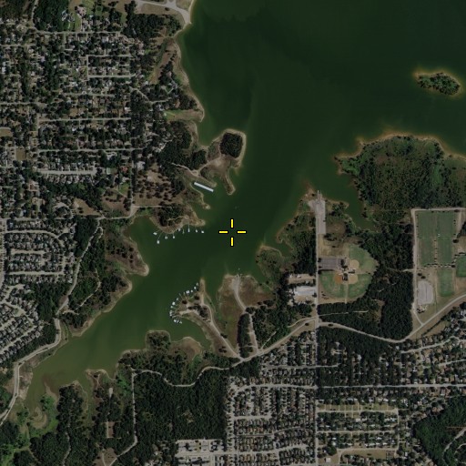 Aerial/Satellite Image of Jones Branch, TX