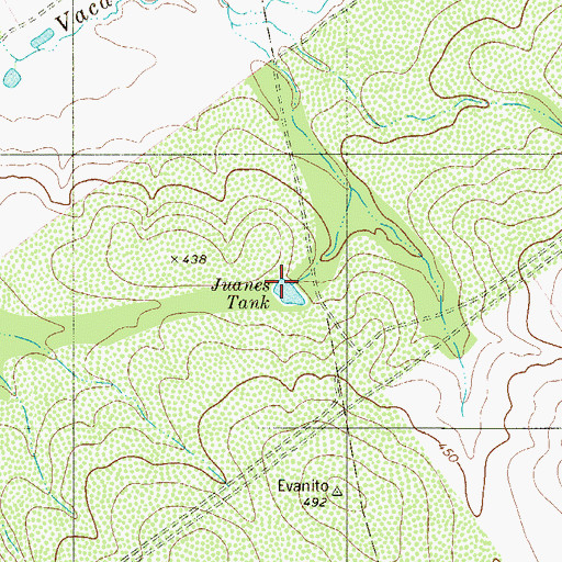 Topographic Map of Juanes Tank, TX