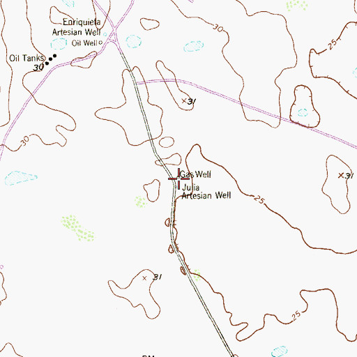 Topographic Map of Julia Artesian Well, TX