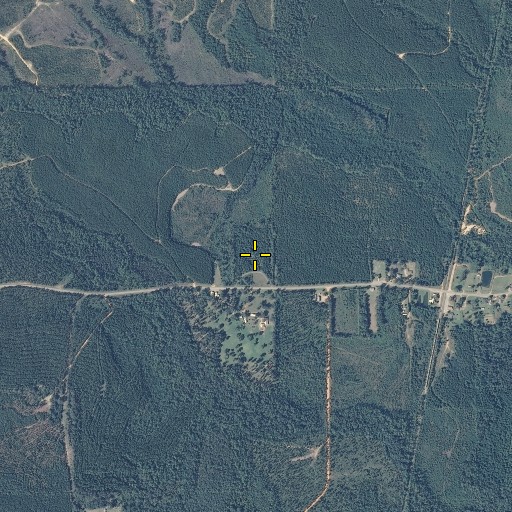 Aerial/Satellite Image of Wallace School, AL