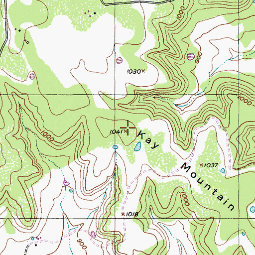 Topographic Map of Kay Mountain, TX