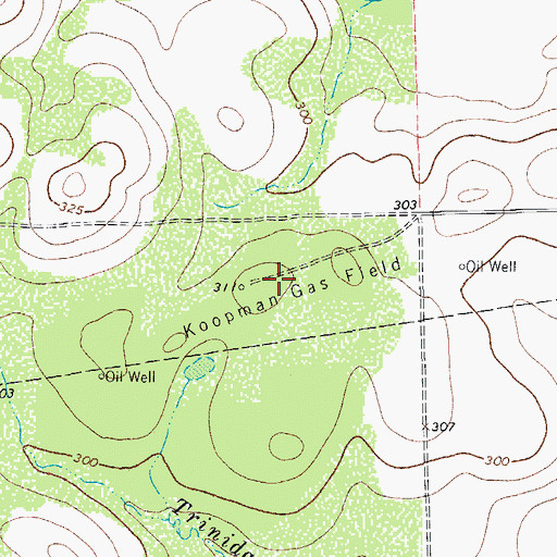 Topographic Map of Koopman Gas Field, TX