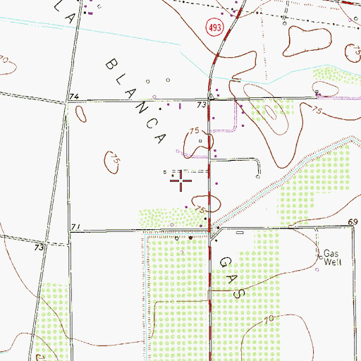 Topographic Map of La Blanca Gas Field, TX