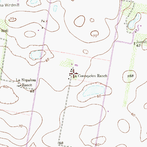 Topographic Map of La Concepcion Ranch, TX