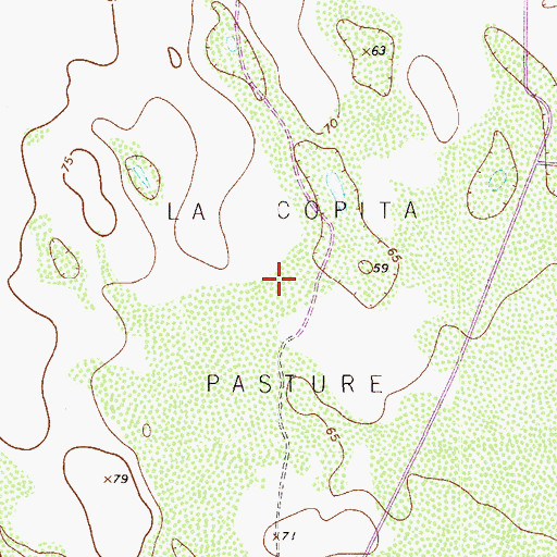 Topographic Map of La Copita Pasture, TX