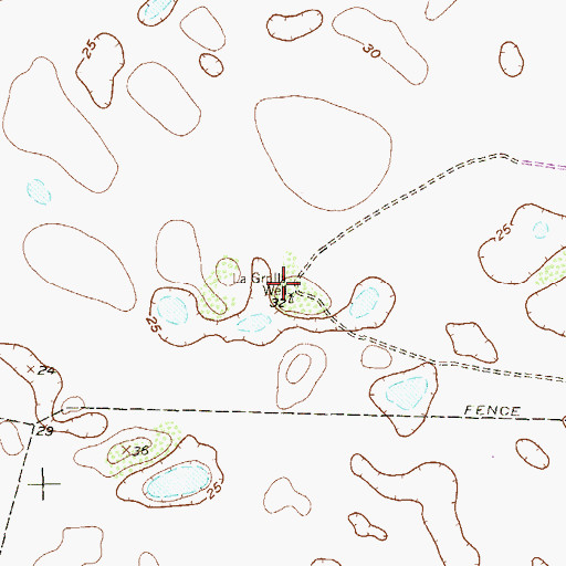 Topographic Map of La Grulla Well, TX