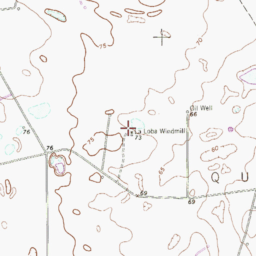 Topographic Map of La Loba Windmill, TX