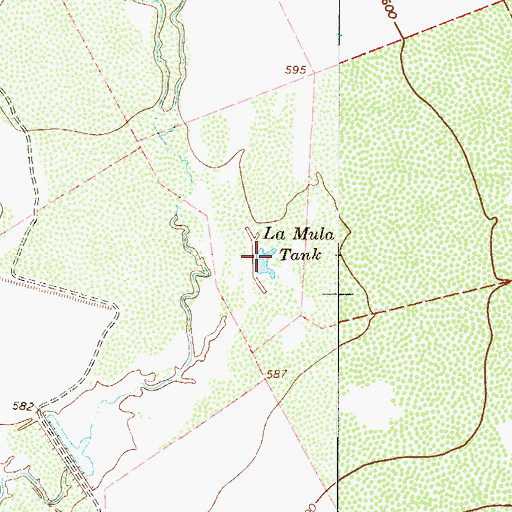 Topographic Map of La Mula Tank, TX
