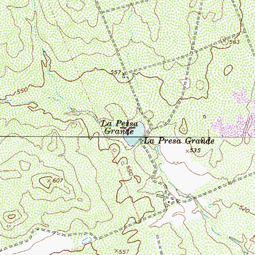 Topographic Map of La Presa Grande, TX