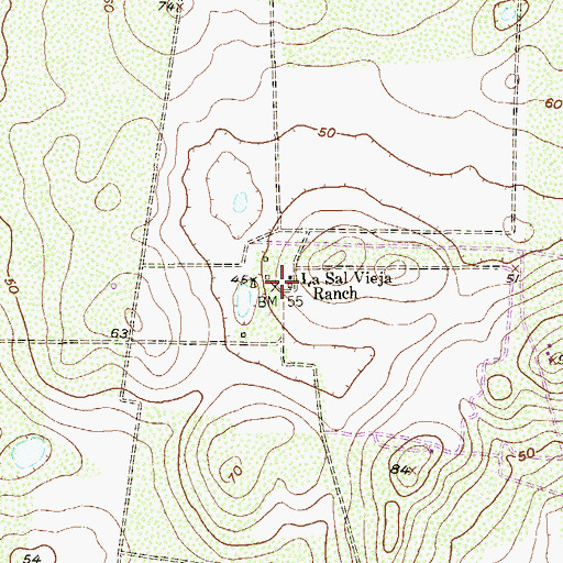 Topographic Map of La Sal Vieja Ranch, TX