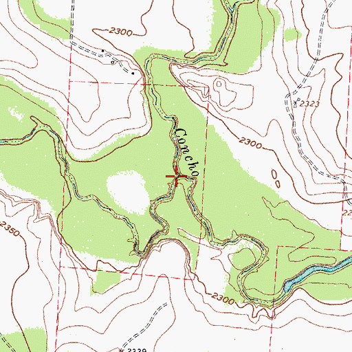 Topographic Map of Lacy Creek, TX