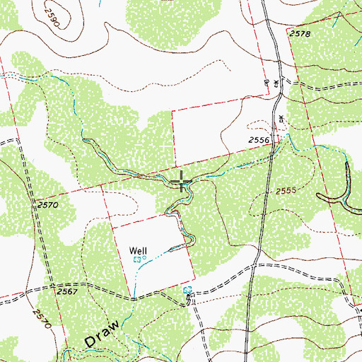 Topographic Map of Lacy Draw, TX