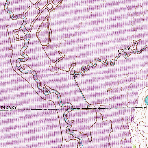 Topographic Map of Lacy Fork, TX