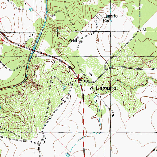Topographic Map of Lagarto, TX