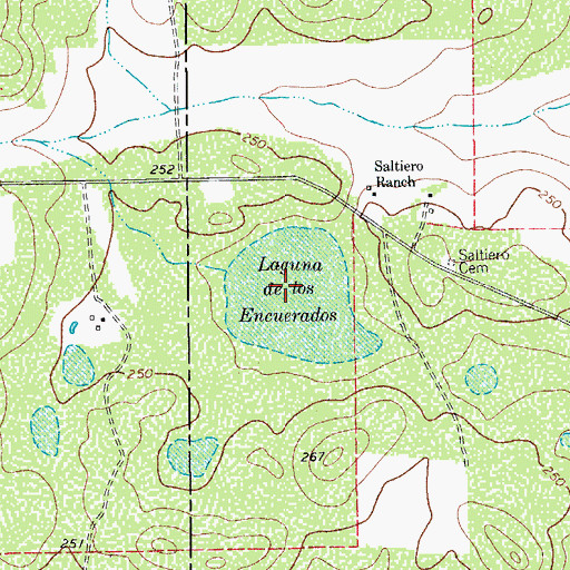 Topographic Map of Laguna de los Encuerados, TX