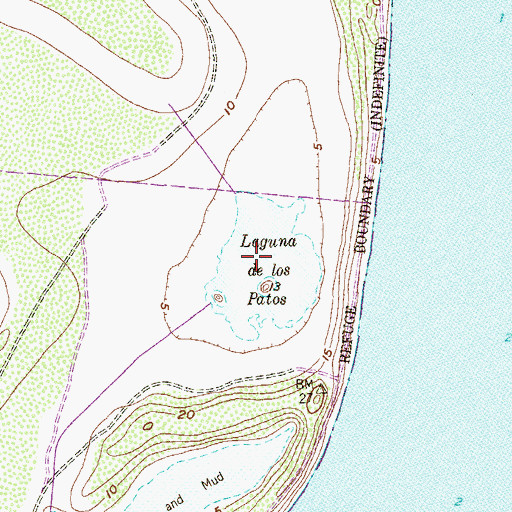 Topographic Map of Laguna de los Patos, TX