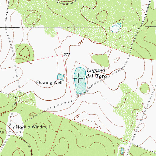 Topographic Map of Laguna del Toro, TX