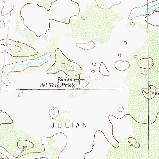 Topographic Map of Laguna Del Toro Prieto, TX