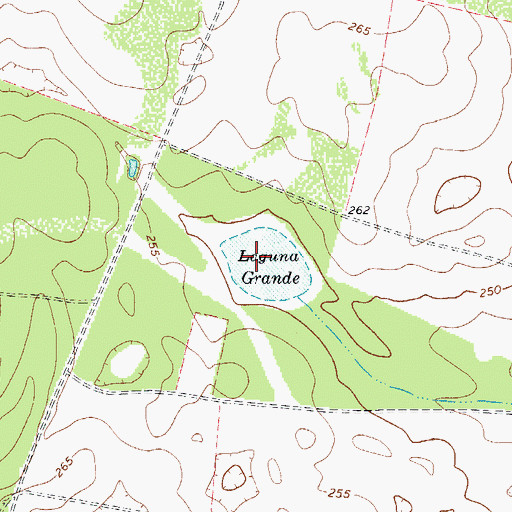 Topographic Map of Laguna Grande, TX