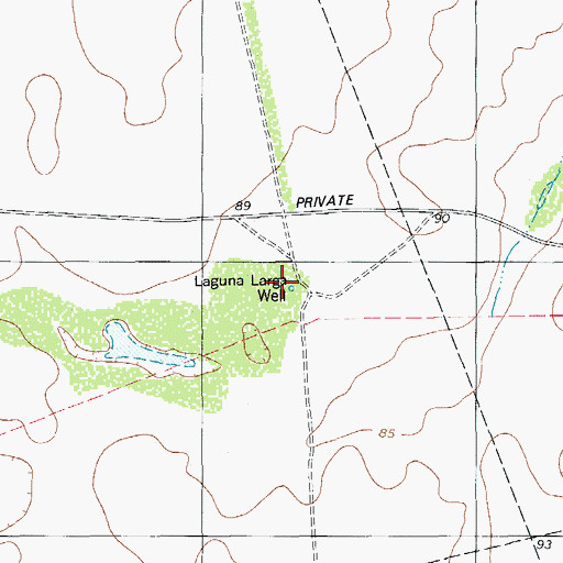 Topographic Map of Laguna Larga Well, TX