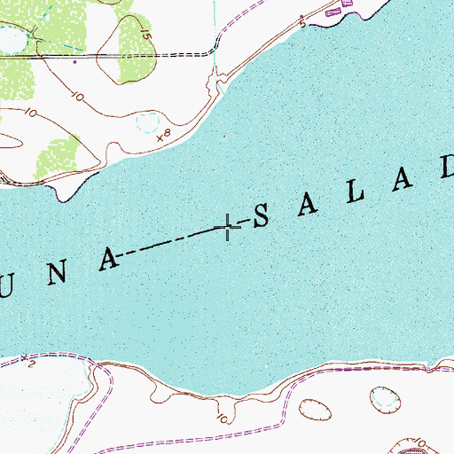 Topographic Map of Laguna Salada, TX