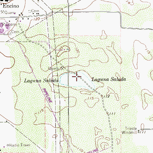 Topographic Map of Laguna Salada, TX