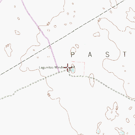 Topographic Map of Lagunitas Windmill, TX