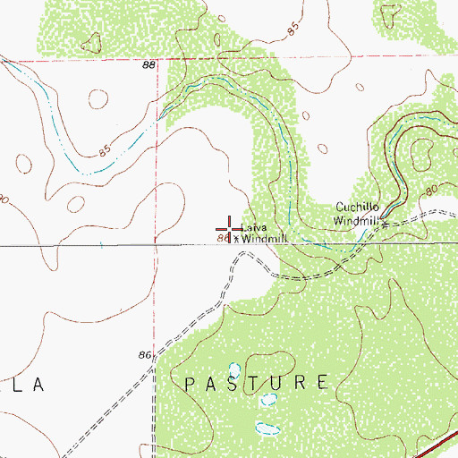 Topographic Map of Laiva Windmill, TX